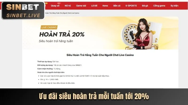 Hoàn trả hàng ngày cho bắn cá